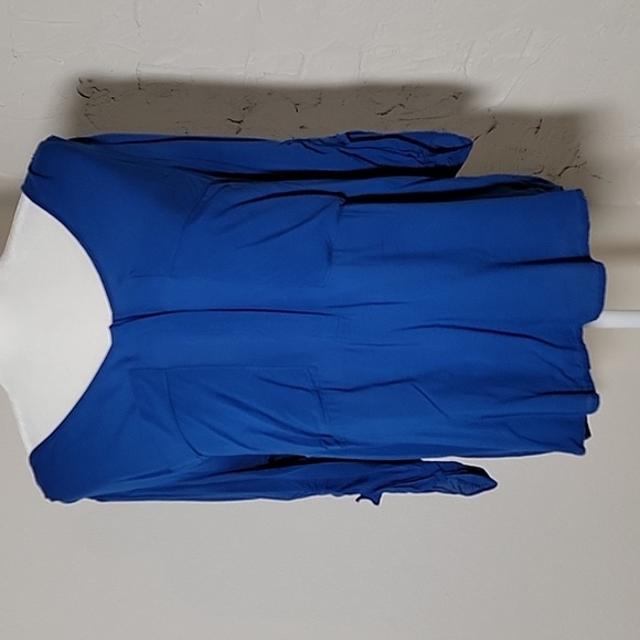 Anthropologie Maeve Charleston Blouse Popover Top Henley Blue Button Down M - Picture 3 of 16